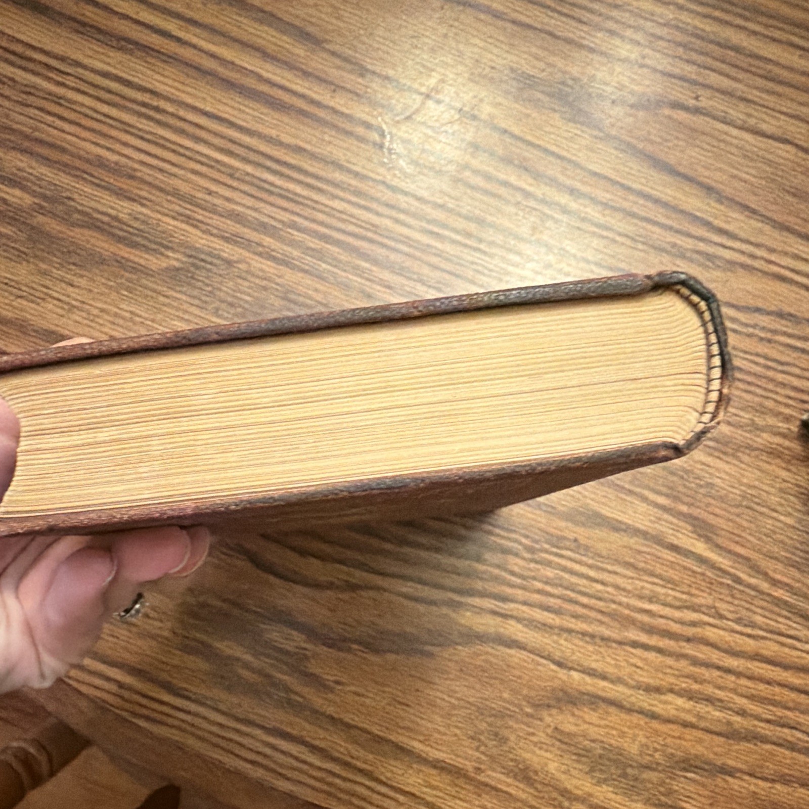 1888 Life of Pope Leo XIII Golden Jubilee Edition Illustrated Catholic Antique